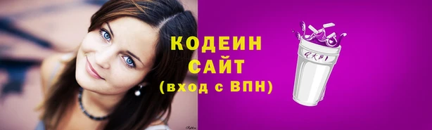 прущие крисы Инта
