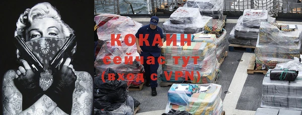 прущие крисы Инта