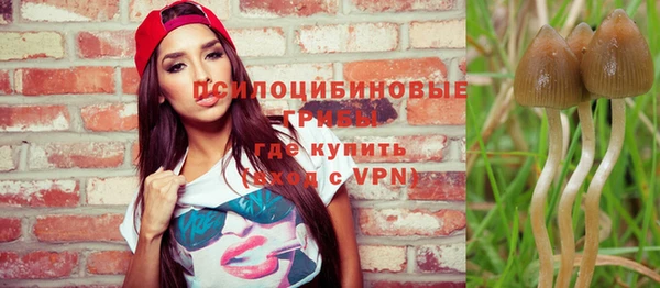 прущие крисы Инта