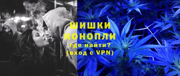 спиды Инсар
