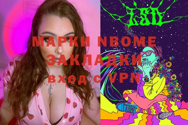 спиды Инсар