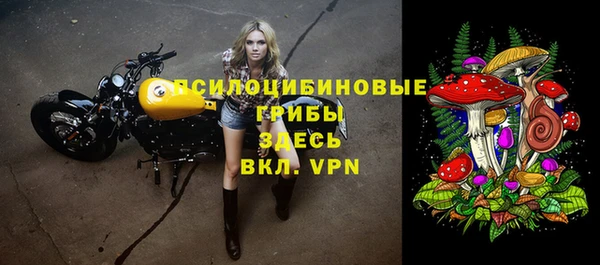 спиды Инсар