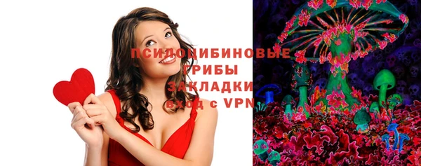 спиды Инсар